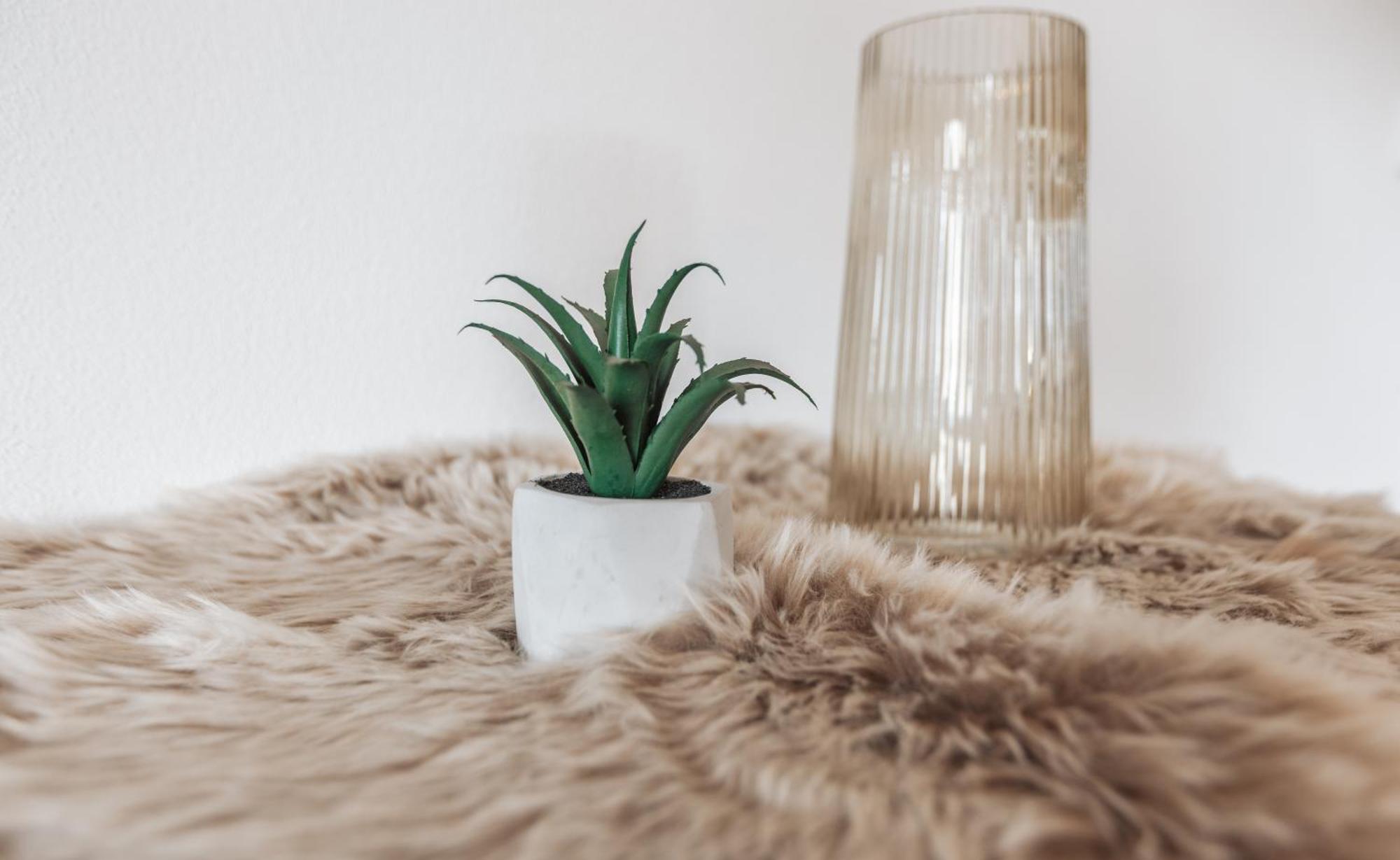 Koenigsblick Poppler Apartment Hopferau Bagian luar foto